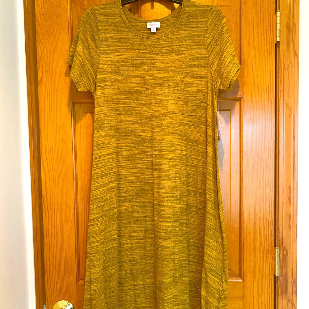 Brand new LuLaRoe Carly Swing Dress